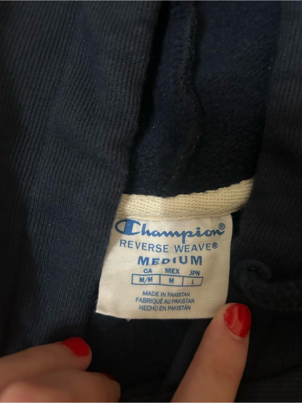 Michigan Hoodie - Picture 2 of 3